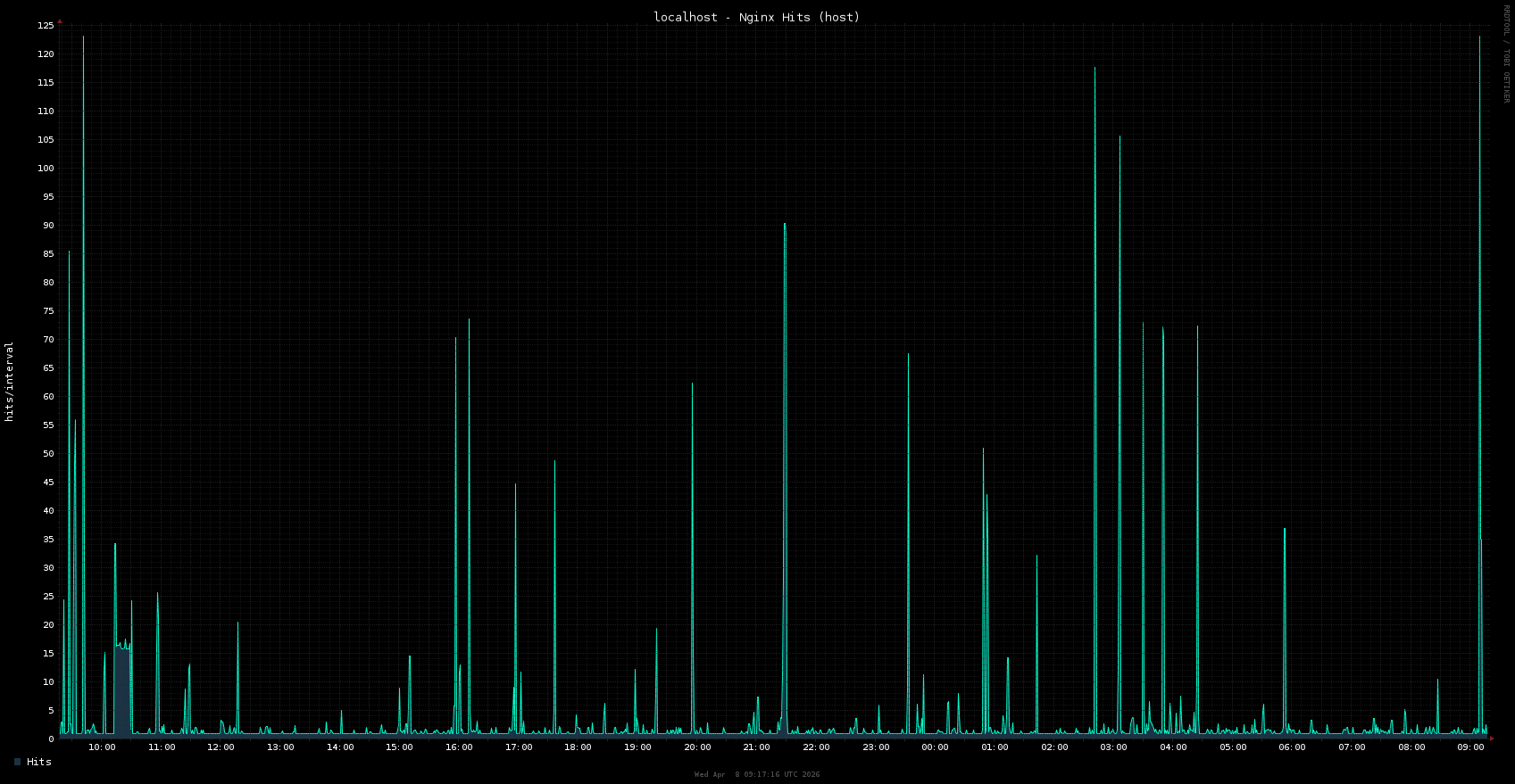 nginx_access_host_hits