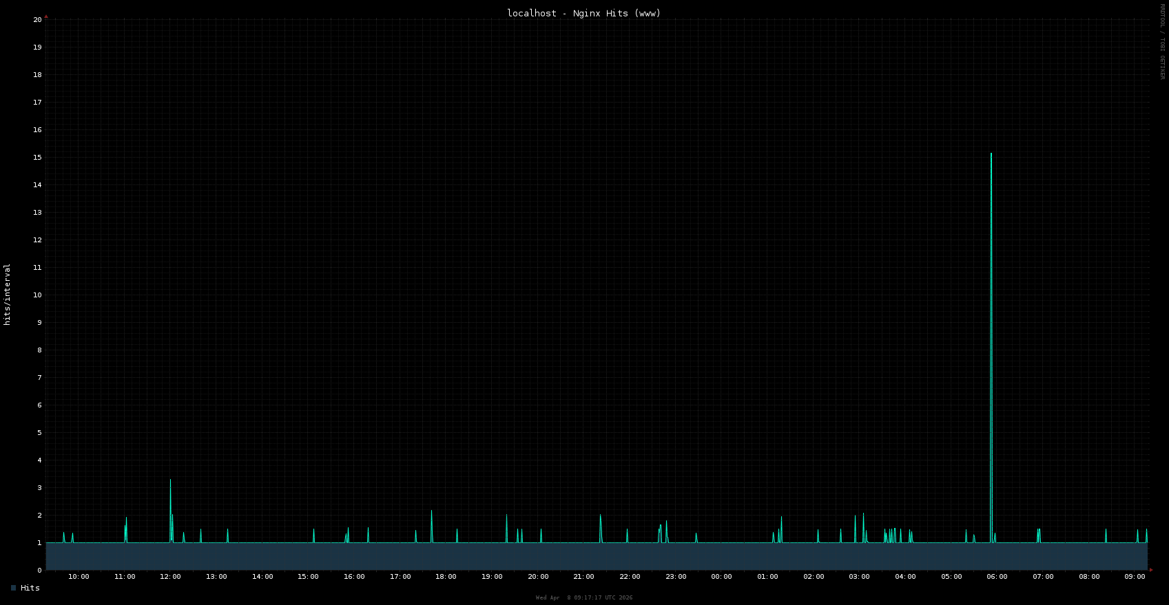 nginx_access_www_hits